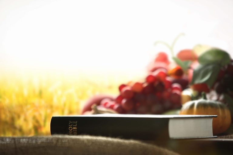 church thanksgiving day fruit ear rice field background with bible grain