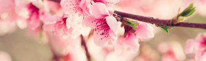 Headers (46)
